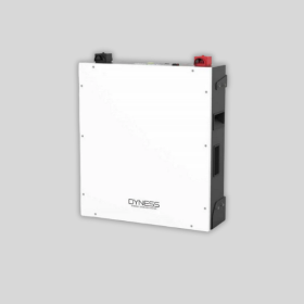 Dyness 5.12kWh DL5.0C Battery